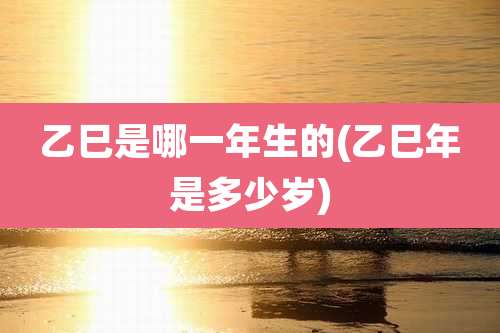 乙巳是哪一年生的(乙巳年是多少岁)