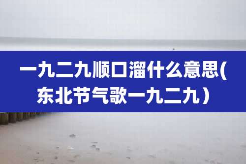 一九二九顺口溜什么意思(东北节气歌一九二九）