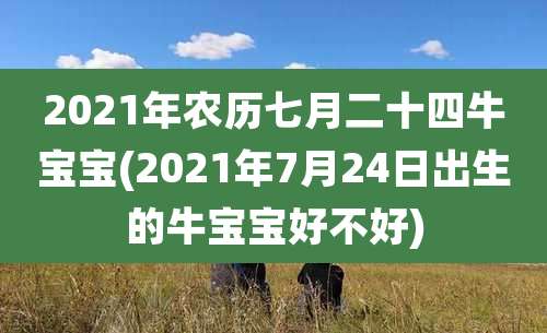 2021年农历七月二十四牛宝宝(2021年7月24日出生的牛宝宝好不好)