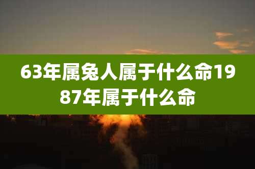 63年属兔人属于什么命1987年属于什么命