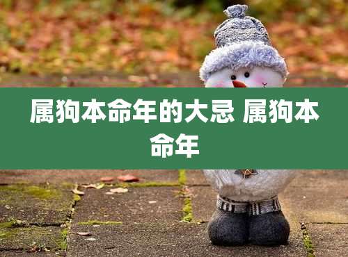 属狗本命年的大忌 属狗本命年