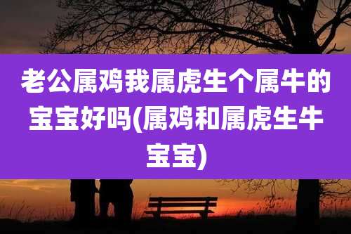 老公属鸡我属虎生个属牛的宝宝好吗(属鸡和属虎生牛宝宝)