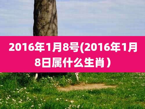 2016年1月8号(2016年1月8日属什么生肖）