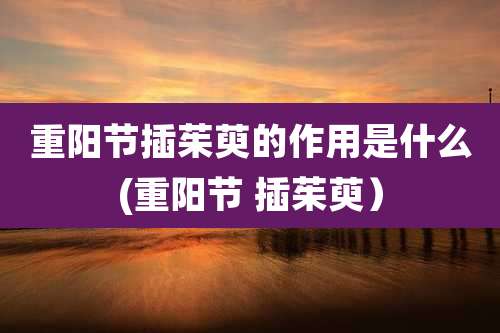重阳节插茱萸的作用是什么(重阳节 插茱萸）
