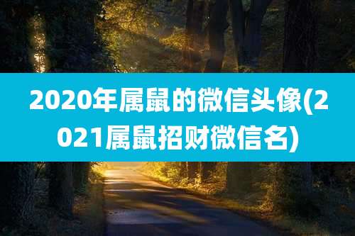 2020年属鼠的微信头像(2021属鼠招财微信名)