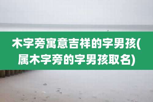 木字旁寓意吉祥的字男孩(属木字旁的字男孩取名)