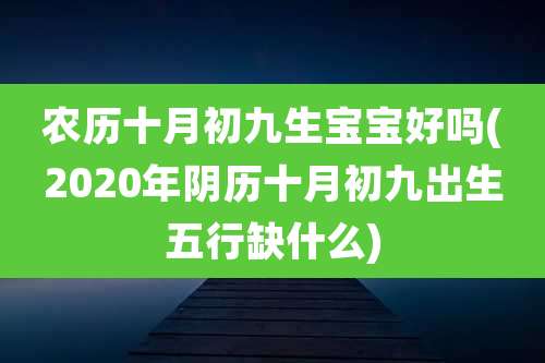 农历十月初九生宝宝好吗(2020年阴历十月初九出生五行缺什么)