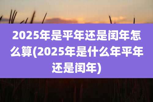 2025年是平年还是闰年怎么算(2025年是什么年平年还是闰年)