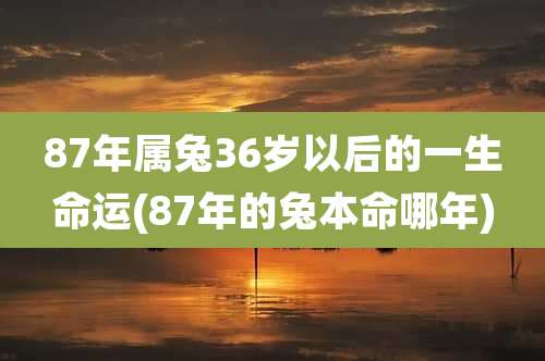 87年属兔36岁以后的一生命运(87年的兔本命哪年)