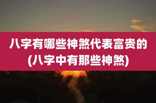 八字有哪些神煞代表富贵的(八字中有那些神煞)