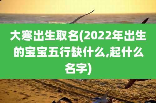 大寒出生取名(2022年出生的宝宝五行缺什么,起什么名字)