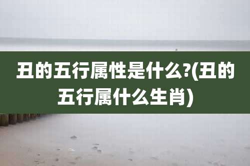 丑的五行属性是什么?(丑的五行属什么生肖)