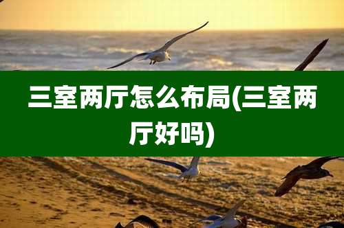 三室两厅怎么布局(三室两厅好吗)