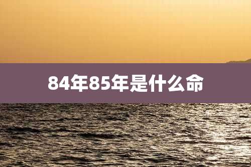 84年85年是什么命