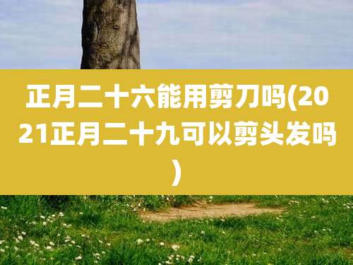 正月二十六能用剪刀吗(2021正月二十九可以剪头发吗)