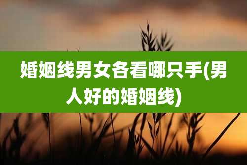 婚姻线男女各看哪只手(男人好的婚姻线)