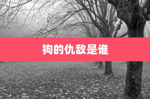 狗的仇敌是谁