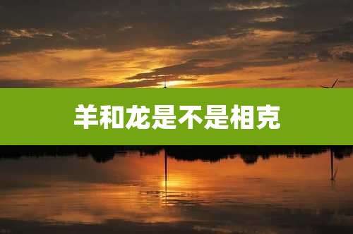 羊和龙是不是相克