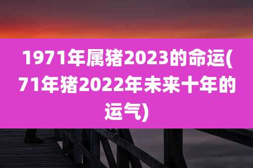 1971年属猪2023的命运(71年猪2022年未来十年的运气)