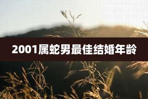 2001属蛇男最佳结婚年龄