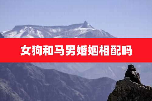 女狗和马男婚姻相配吗