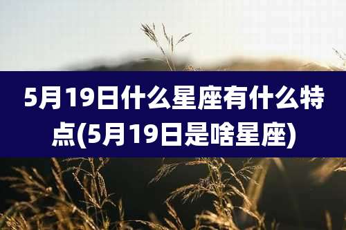 5月19日什么星座有什么特点(5月19日是啥星座)