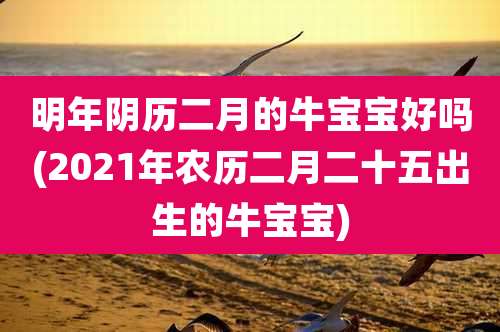 明年阴历二月的牛宝宝好吗(2021年农历二月二十五出生的牛宝宝)