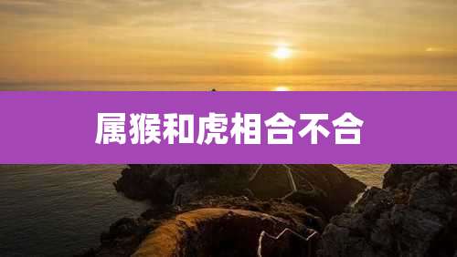 属猴和虎相合不合