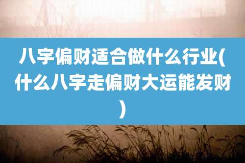 八字偏财适合做什么行业(什么八字走偏财大运能发财)