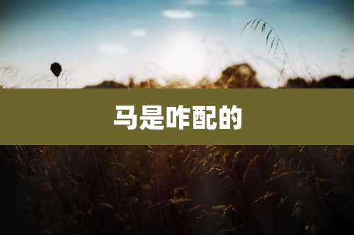 马是咋配的