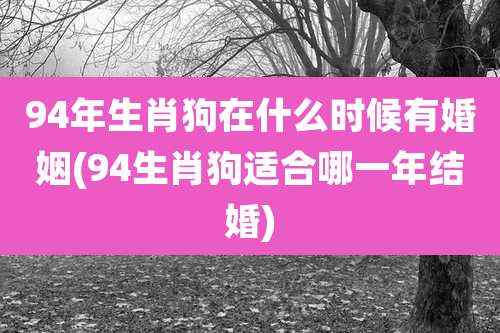 94年生肖狗在什么时候有婚姻(94生肖狗适合哪一年结婚)