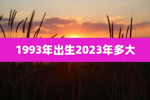 1993年出生2023年多大