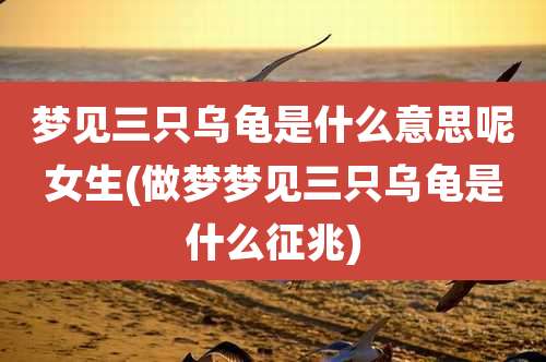 梦见三只乌龟是什么意思呢女生(做梦梦见三只乌龟是什么征兆)