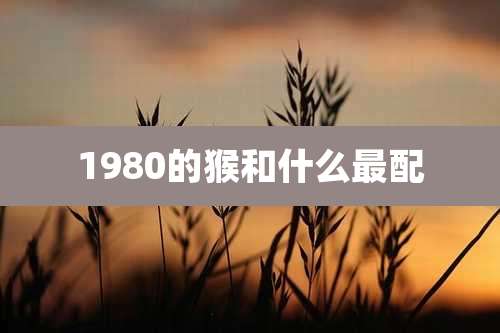 1980的猴和什么最配