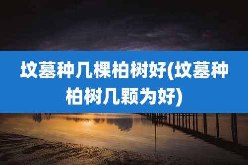 坟墓种几棵柏树好(坟墓种柏树几颗为好)