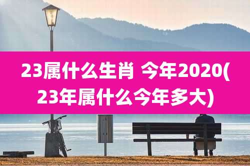23属什么生肖 今年2020(23年属什么今年多大)
