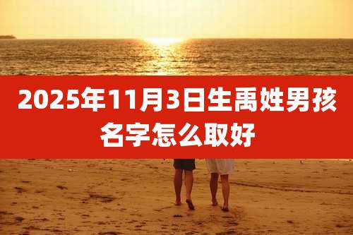 2025年11月3日生禹姓男孩名字怎么取好