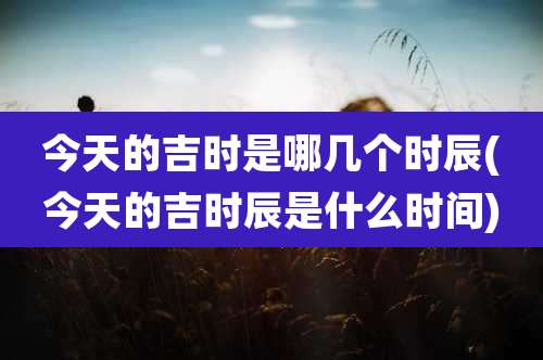 今天的吉时是哪几个时辰(今天的吉时辰是什么时间)