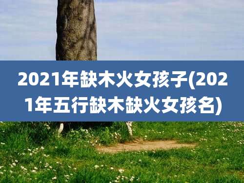 2021年缺木火女孩子(2021年五行缺木缺火女孩名)