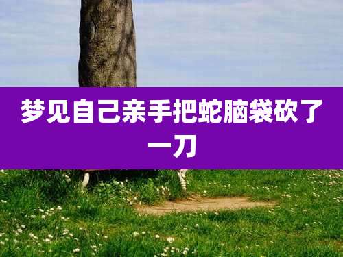 梦见自己亲手把蛇脑袋砍了一刀