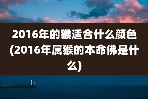 2016年的猴适合什么颜色(2016年属猴的本命佛是什么)