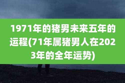 1971年的猪男未来五年的运程(71年属猪男人在2023年的全年运势)