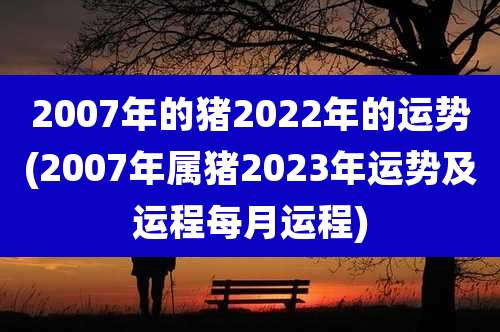 2007年的猪2022年的运势(2007年属猪2023年运势及运程每月运程)