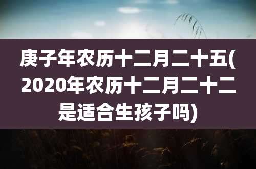 庚子年农历十二月二十五(2020年农历十二月二十二是适合生孩子吗)