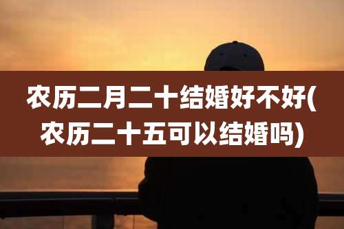 农历二月二十结婚好不好(农历二十五可以结婚吗)