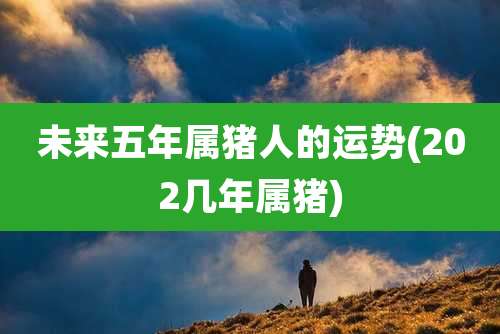 未来五年属猪人的运势(202几年属猪)