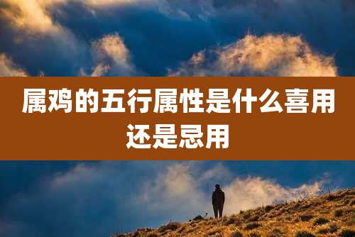 属鸡的五行属性是什么喜用还是忌用