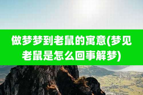 做梦梦到老鼠的寓意(梦见老鼠是怎么回事解梦)