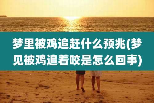 梦里被鸡追赶什么预兆(梦见被鸡追着咬是怎么回事)