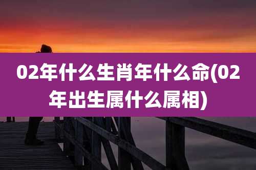 02年什么生肖年什么命(02年出生属什么属相)